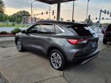 Certified 2022 Ford Escape SEL image 5