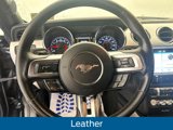 Used 2017 Ford Mustang Premium image 4