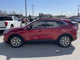 Certified 2020 Ford Escape Titanium image 4