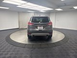 Used 2014 Ford Escape SE w/ Equipment Group 201A image 4