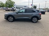 Certified 2022 Ford Escape SEL image 5