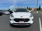 Used 2020 Ford Escape SE image 4