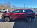 Used 2019 Jeep Cherokee Trailhawk w/ Cold Weather Group image 6