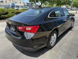 Used 2023 Chevrolet Malibu LT image 6