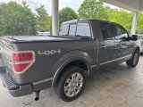 Used 2010 Ford F150 Platinum image 3