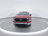 Used 2021 Ford F150 XLT w/ Equipment Group 301A Mid image 3