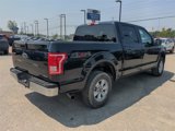 Certified 2016 Ford F150 4x4 SuperCrew image 5