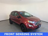Used 2019 Ford EcoSport SE image 2