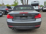 Used 2020 BMW 230i xDrive Convertible image 4