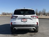 Used 2020 Ford Escape SEL image 5