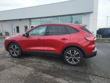 Used 2021 Ford Escape SE w/ SE Sport Appearance Package image 4