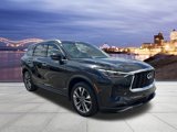 Used 2022 INFINITI QX60 Luxe w/ Cargo Package image 4