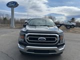 Used 2023 Ford F150 XLT w/ Equipment Group 302A High image 2
