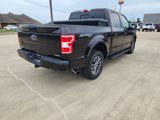Used 2020 Ford F150 XLT w/ Equipment Group 302A Luxury image 5