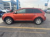 Used 2008 Ford Edge SE image 2