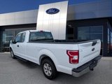 Certified 2020 Ford F150 XL w/ Equipment Group 101A Mid image 3