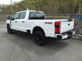New 2025 Ford F250 XL image 3