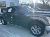 Used 2019 Ford F150 XLT w/ Equipment Group 302A Luxury image 3