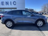 New 2025 Ford Escape Active image 4