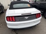 Used 2022 Ford Mustang Premium image 3