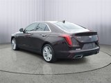 Used 2021 Cadillac CT4 Premium Luxury w/ Climate Package image 4