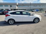 Used 2015 Ford Focus SE image 6