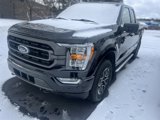 Used 2023 Ford F150 XLT w/ Equipment Group 302A High image 3