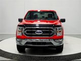Used 2021 Ford F150 XLT w/ Equipment Group 301A Mid image 2