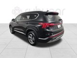 Used 2023 Hyundai Santa Fe SEL w/ Premium Package image 3
