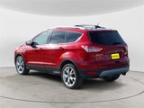 Used 2013 Ford Escape Titanium w/ Parking Technology Pkg image 3