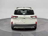 Certified 2022 Ford Escape SEL w/ Class II Trailer Tow Package image 5