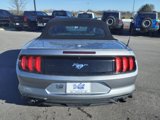 Used 2022 Ford Mustang Premium image 4