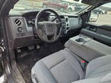 Used 2012 Ford F150 XLT w/ XLT Chrome Pkg image 5