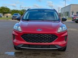 Used 2020 Ford Escape SE Sport image 2
