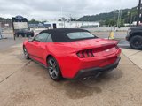 New 2025 Ford Mustang Premium image 5