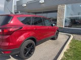 Used 2019 Ford Escape SE image 4