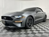 Used 2022 Ford Mustang Premium w/ Equipment Group 201A image 3