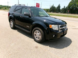 Used 2008 Ford Escape XLT image 3