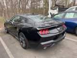 Certified 2024 Ford Mustang Premium w/ 2.3L High Performance Package image 4