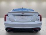 New 2025 Cadillac CT5 Premium Luxury image 5