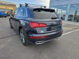 Used 2019 Audi SQ5 Prestige image 3