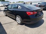 Used 2024 Chevrolet Malibu LT image 4
