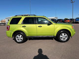 Used 2011 Ford Escape XLT w/ 203A Rapid Spec Order Code image 6