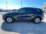 Used 2021 Ford Escape SE image 2