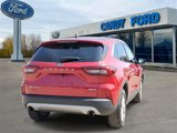 Used 2023 Ford Escape Active w/ Tech Pack #2 image 4
