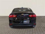 Used 2024 Chevrolet Malibu LT image 5
