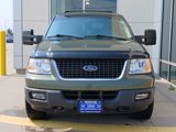 Used 2004 Ford Expedition XLT image 4