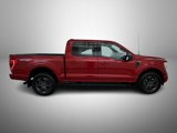 Used 2022 Ford F150 XLT w/ Equipment Group 302A High image 4