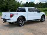 Used 2014 Ford F150 FX4 w/ Equipment Group 402A Luxury image 5