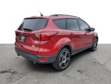 Used 2019 Ford Escape SEL image 4